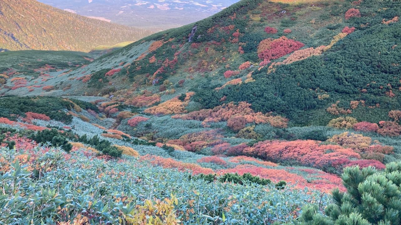 Featured image of the post