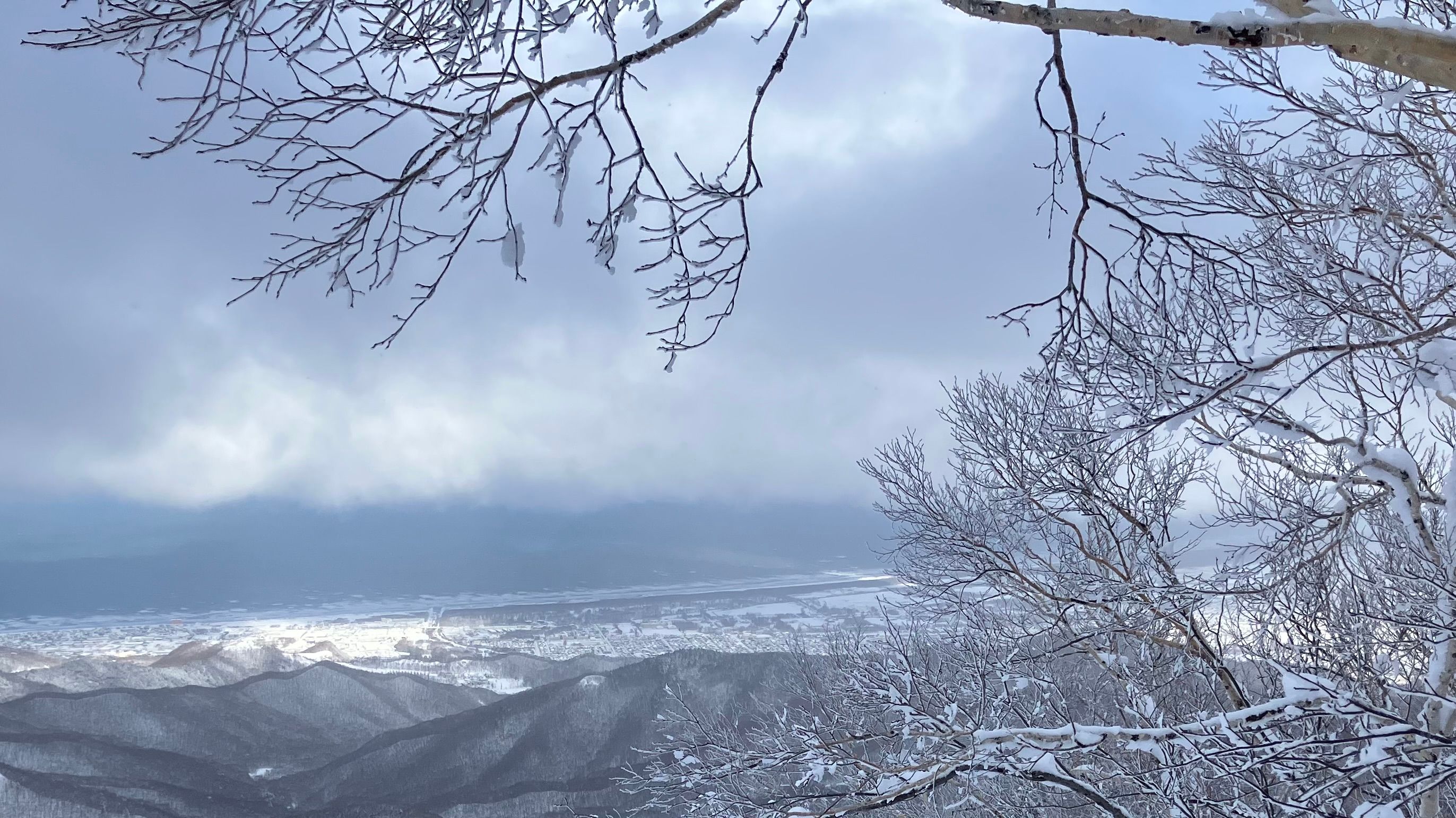 Featured image of the post