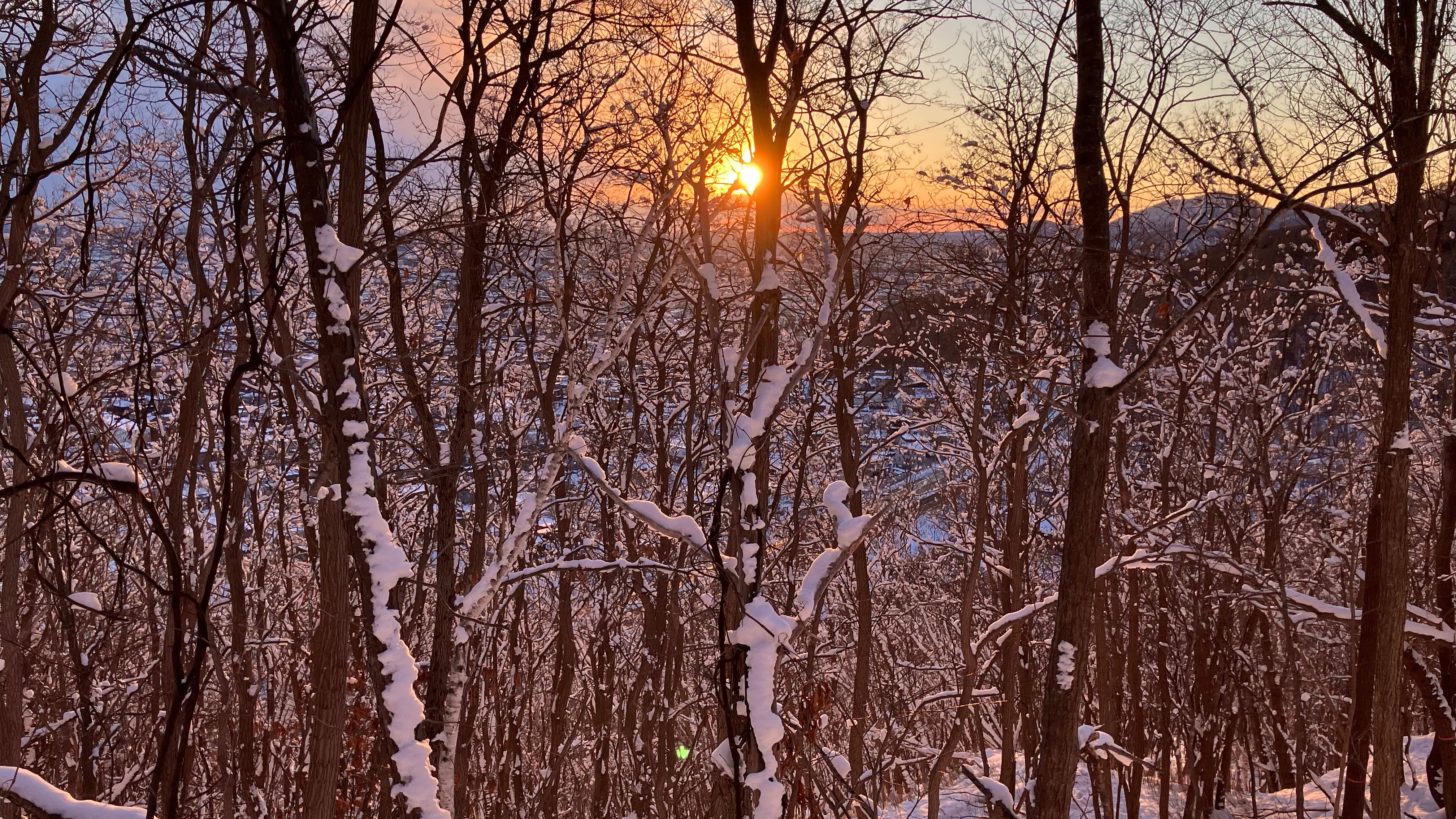 Featured image of the post