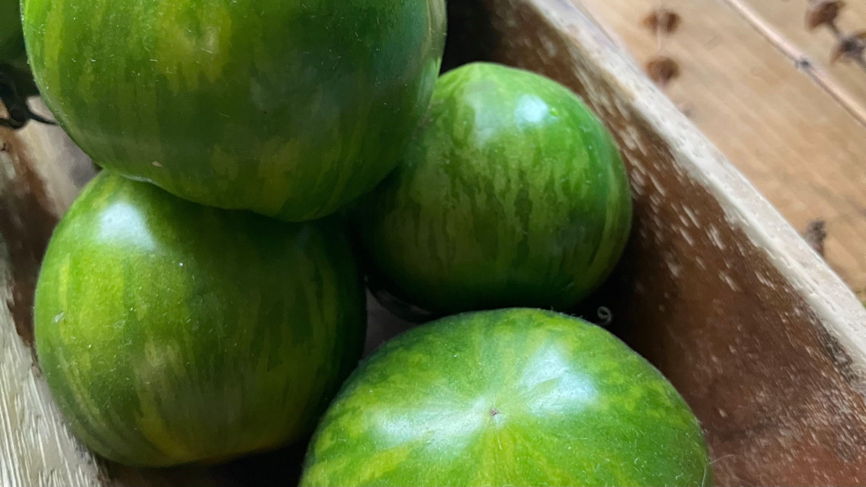 Featured image of the post