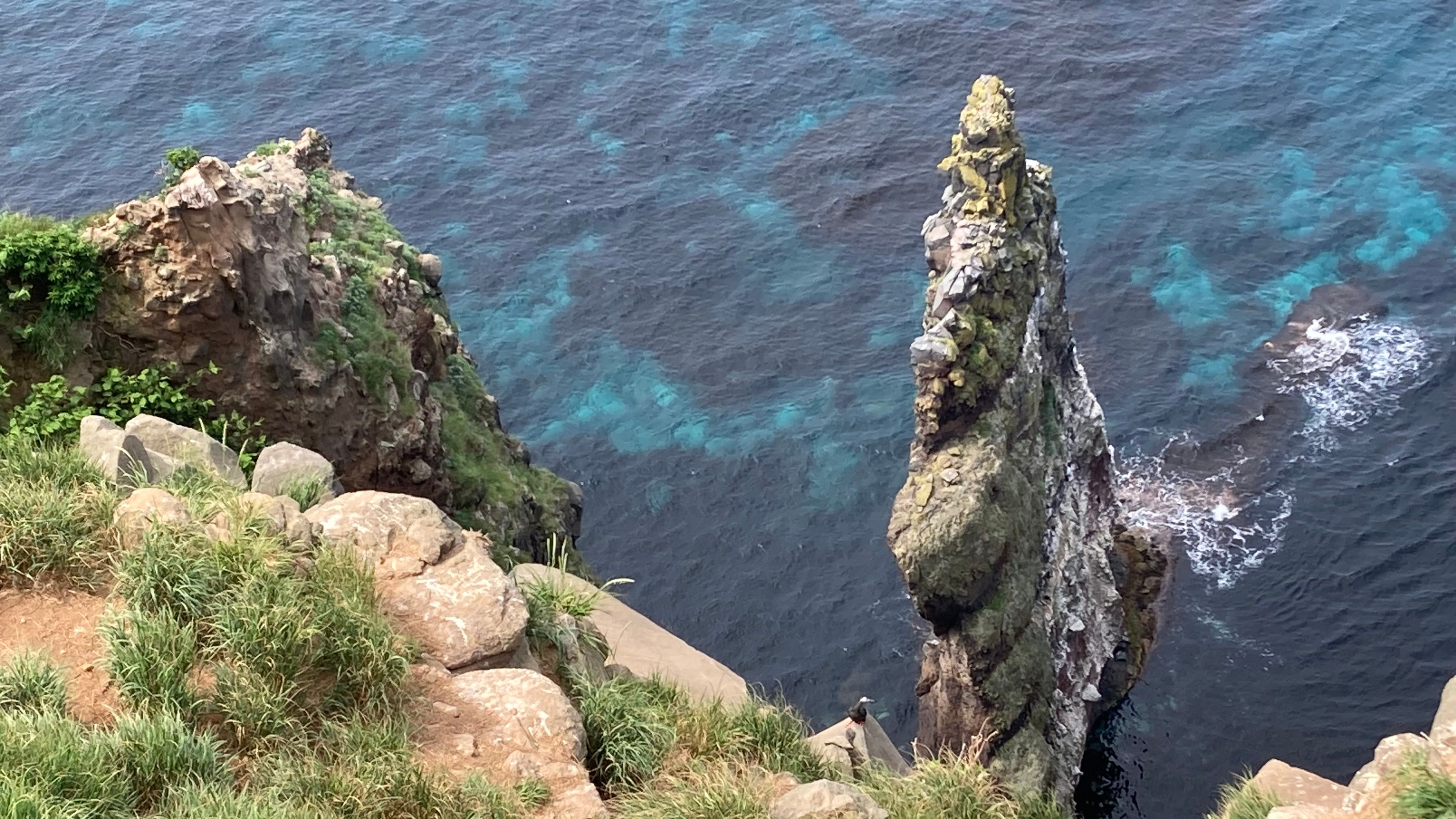 Featured image of the post